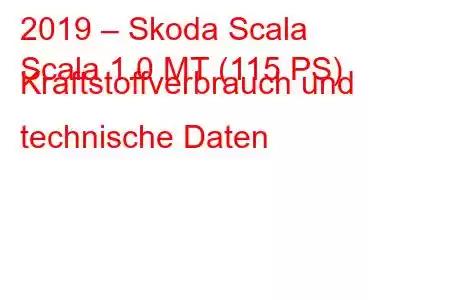 2019 – Skoda Scala
Scala 1.0 MT (115 PS) Kraftstoffverbrauch und technische Daten