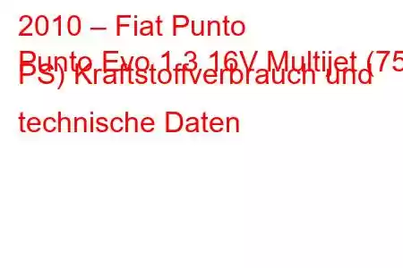 2010 – Fiat Punto
Punto Evo 1.3 16V Multijet (75 PS) Kraftstoffverbrauch und technische Daten