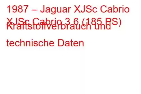 1987 – Jaguar XJSc Cabrio
XJSc Cabrio 3.6 (185 PS) Kraftstoffverbrauch und technische Daten