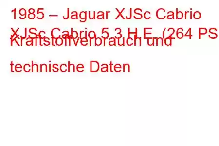 1985 – Jaguar XJSc Cabrio
XJSc Cabrio 5.3 H.E. (264 PS) Kraftstoffverbrauch und technische Daten