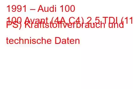 1991 – Audi 100
100 Avant (4A,C4) 2,5 TDI (115 PS) Kraftstoffverbrauch und technische Daten