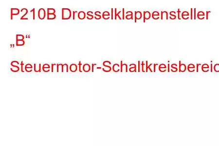 P210B Drosselklappensteller „B“ Steuermotor-Schaltkreisbereich/-Fehlercode