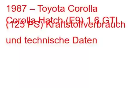 1987 – Toyota Corolla
Corolla Hatch (E9) 1.6 GTI (125 PS) Kraftstoffverbrauch und technische Daten