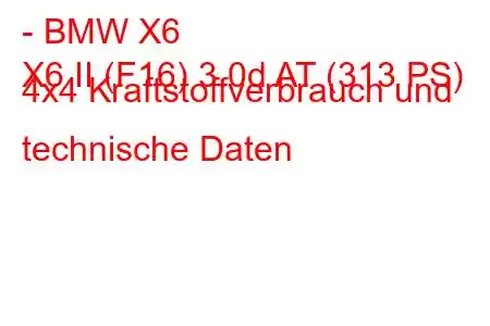 - BMW X6
X6 II (F16) 3.0d AT (313 PS) 4x4 Kraftstoffverbrauch und technische Daten