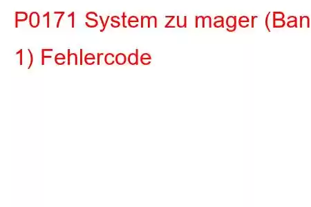 P0171 System zu mager (Bank 1) Fehlercode