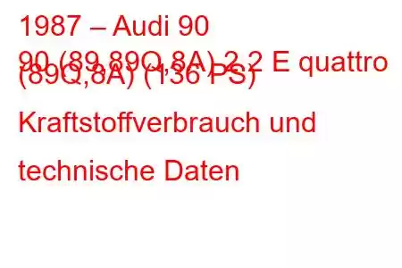 1987 – Audi 90
90 (89,89Q,8A) 2.2 E quattro (89Q,8A) (136 PS) Kraftstoffverbrauch und technische Daten