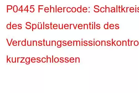 P0445 Fehlercode: Schaltkreis des Spülsteuerventils des Verdunstungsemissionskontrollsystems kurzgeschlossen