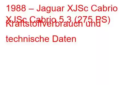 1988 – Jaguar XJSc Cabrio
XJSc Cabrio 5.3 (275 PS) Kraftstoffverbrauch und technische Daten