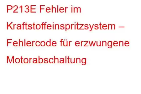 P213E Fehler im Kraftstoffeinspritzsystem – Fehlercode für erzwungene Motorabschaltung