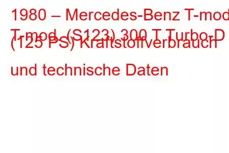 1980 – Mercedes-Benz T-mod.
T-mod. (S123) 300 T Turbo-D (125 PS) Kraftstoffverbrauch und technische Daten