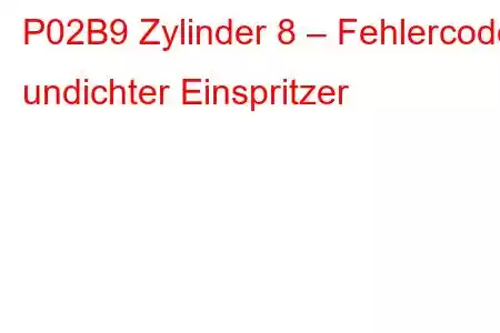 P02B9 Zylinder 8 – Fehlercode undichter Einspritzer