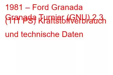 1981 – Ford Granada
Granada Turnier (GNU) 2.3 (111 PS) Kraftstoffverbrauch und technische Daten