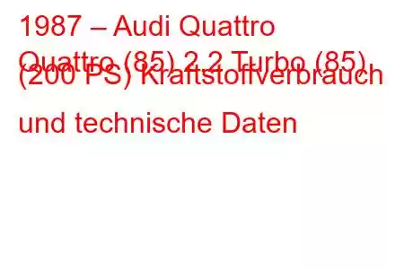 1987 – Audi Quattro
Quattro (85) 2.2 Turbo (85) (200 PS) Kraftstoffverbrauch und technische Daten