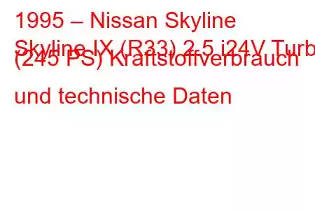 1995 – Nissan Skyline
Skyline IX (R33) 2.5 i24V Turbo (245 PS) Kraftstoffverbrauch und technische Daten