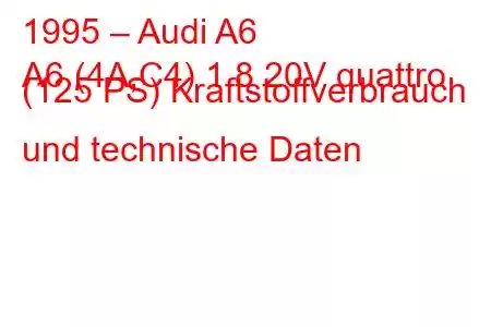 1995 – Audi A6
A6 (4A,C4) 1.8 20V quattro (125 PS) Kraftstoffverbrauch und technische Daten