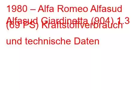 1980 – Alfa Romeo Alfasud
Alfasud Giardinetta (904) 1.3 (69 PS) Kraftstoffverbrauch und technische Daten