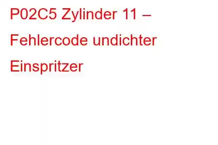 P02C5 Zylinder 11 – Fehlercode undichter Einspritzer