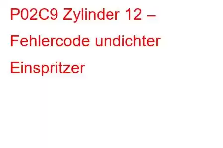 P02C9 Zylinder 12 – Fehlercode undichter Einspritzer