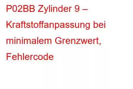 P02BB Zylinder 9 – Kraftstoffanpassung bei minimalem Grenzwert, Fehlercode