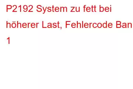 P2192 System zu fett bei höherer Last, Fehlercode Bank 1