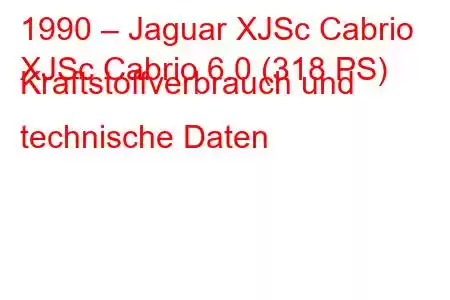 1990 – Jaguar XJSc Cabrio
XJSc Cabrio 6.0 (318 PS) Kraftstoffverbrauch und technische Daten