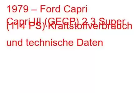 1979 – Ford Capri
Capri III (GECP) 2.3 Super (114 PS) Kraftstoffverbrauch und technische Daten