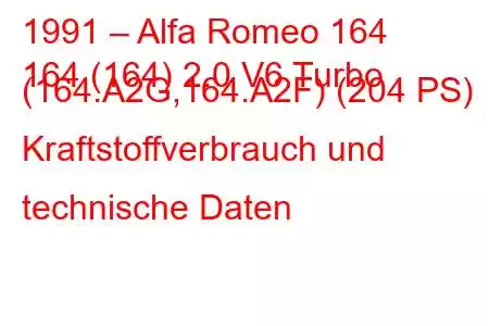 1991 – Alfa Romeo 164
164 (164) 2.0 V6 Turbo (164.A2G,164.A2F) (204 PS) Kraftstoffverbrauch und technische Daten