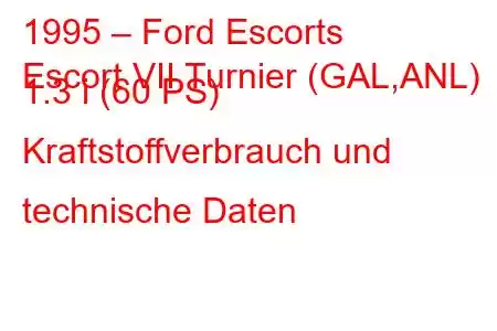 1995 – Ford Escorts
Escort VII Turnier (GAL,ANL) 1.3 i (60 PS) Kraftstoffverbrauch und technische Daten