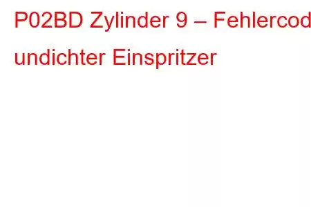 P02BD Zylinder 9 – Fehlercode undichter Einspritzer