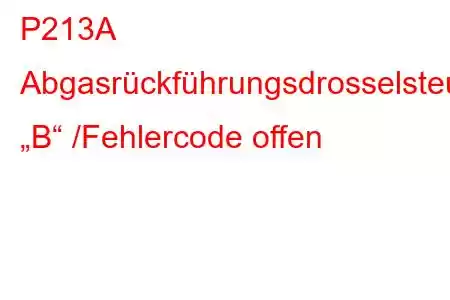 P213A Abgasrückführungsdrosselsteuerkreis „B“ /Fehlercode offen