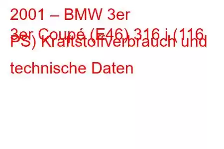 2001 – BMW 3er
3er Coupé (E46) 316 i (116 PS) Kraftstoffverbrauch und technische Daten