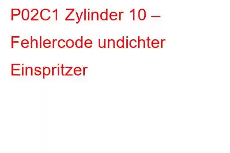 P02C1 Zylinder 10 – Fehlercode undichter Einspritzer