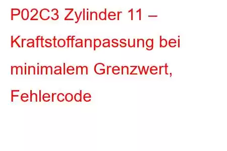 P02C3 Zylinder 11 – Kraftstoffanpassung bei minimalem Grenzwert, Fehlercode