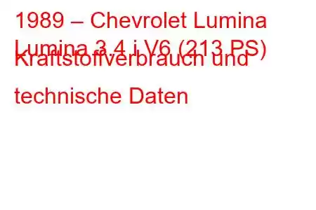 1989 – Chevrolet Lumina
Lumina 3.4 i V6 (213 PS) Kraftstoffverbrauch und technische Daten