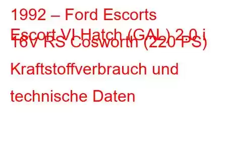 1992 – Ford Escorts
Escort VI Hatch (GAL) 2.0 i 16V RS Cosworth (220 PS) Kraftstoffverbrauch und technische Daten